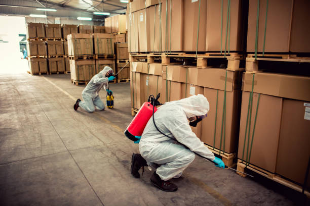 Best Affordable Pest Control Services  in Elkin, NC