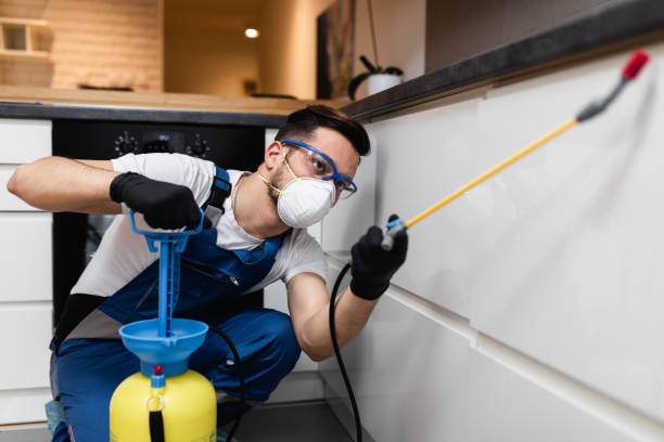 Best Bed Bug Extermination  in Elkin, NC