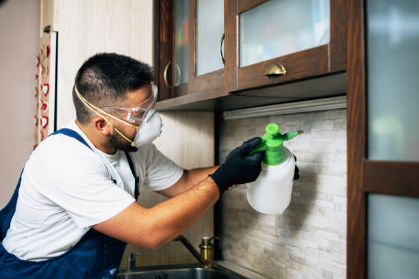 Best Bed Bug Extermination  in Elkin, NC
