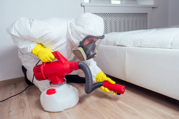 Wasp Removal Services in Elkin, NC