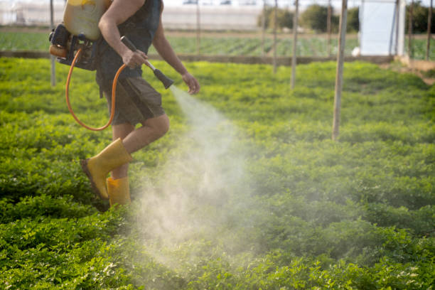 Best Pest Prevention Services  in Elkin, NC