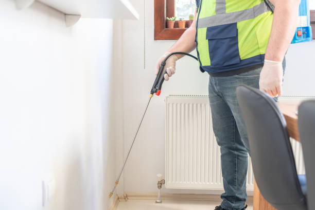 Best Affordable Pest Control Services  in Elkin, NC