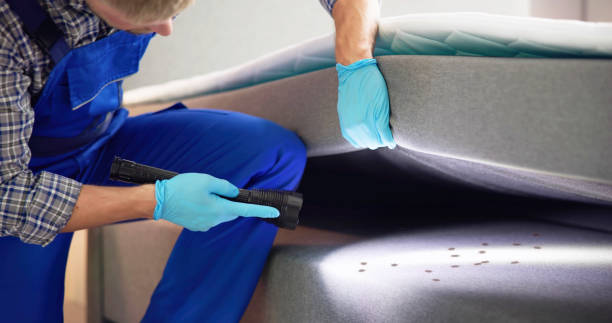 Best Residential Pest Control  in Elkin, NC