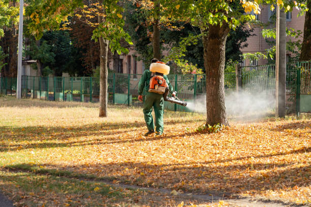 Best Best Pest Control Companies  in Elkin, NC