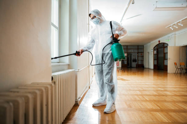 Trusted Elkin, NC Pest Control Experts